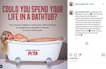 Gemma Collins fronts PETA UK campaign