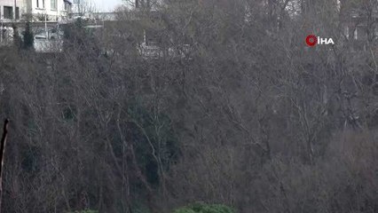 İstanbul'da şiddetli dolu yağışı