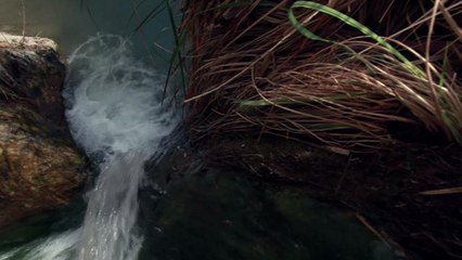 A Meditation for Dealing With Conflict