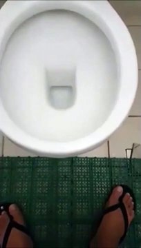 Oh la belle surprise cachée dans les toilettes