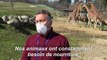 Coronavirus: un zoo italien s'inquiète pour ses animaux suite à sa fermeture