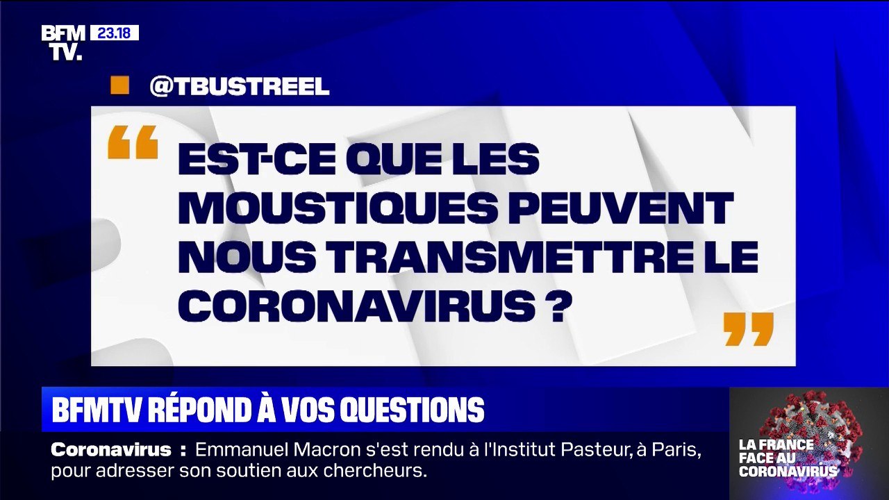 Est-ce que les moustiques peuvent nous transmettre le coronavirus ? BFMTV répond à vos questions