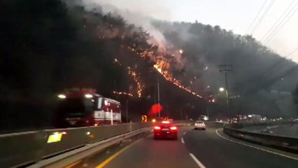 울산 산불 진화 작업 재개...밤사이 4천여 명 대피 / YTN