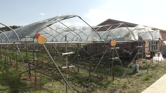 [날씨] 영동 밤사이 바람 강해져...산불 비상 / YTN