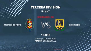 Previa partido entre Atlético de Pinto y Alcorcón B Jornada 30 Tercera División
