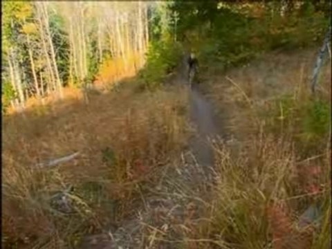 MTB - Whistler Mountain Bike Park Mix