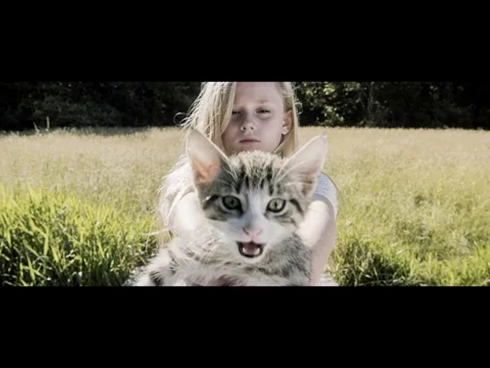 Small Time movie