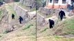 Viral Video : Indian Border Police Dress Up As Bears To Scare Away Monkeys In Uttarakhand