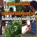 สาวจีนป่วนสระบุรี ถุยน้ำลายป้ายเบาะรถทัวร์ หวั่นเชื้อ โควิด