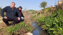 Mahalle sakinleri atık sulara tepki gösterdi, yardım istedi