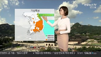 [날씨] 절기 춘분, 영동 '강풍특보'…주말 중부 비