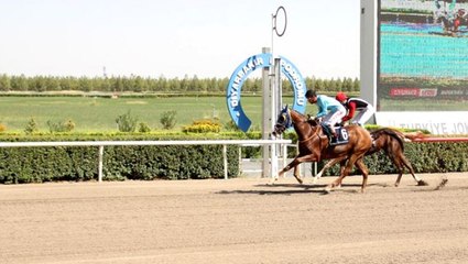 Son Dakika: Koronavirüs nedeniyle at yarışları geçici süre ertelendi