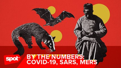 In Numbers: A Look at Past Coronavirus Diseases
