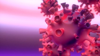 İngiliz bilim insanına göre koronavirüs aşısı en iyi ihtimalle 12-18 ay sonra piyasada olacak