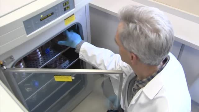 Científicos de EEUU aseguran que el coronavirus permanece hasta tres horas suspendido en el aire