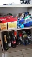 Solidarité en faisant les courses pendant le coronavirus