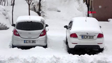 Bitlis'te 79 köy yolu, kardan kapandı