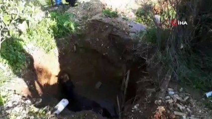 Kuyuya düşen at itfaiye ekipleri tarafından kurtarıldı