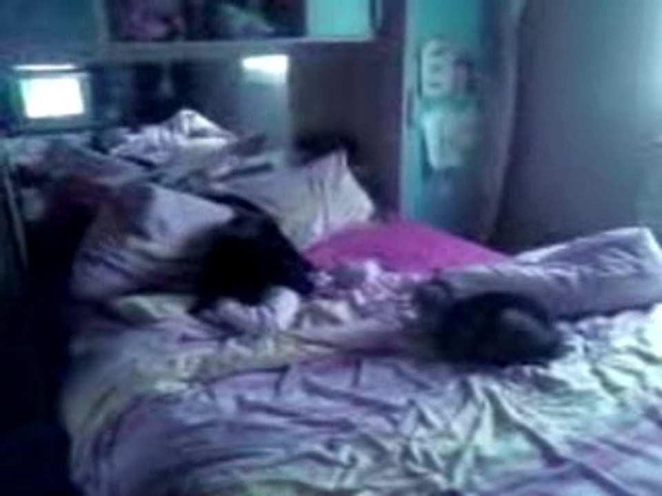 sassy et shadow 1
