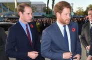 Harry und William: 'Nie wieder so, wie sie einmal waren'