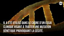 Première mondiale : la technique CRISPR utilisée sur l’oeil d’un patient pour soigner la cécité