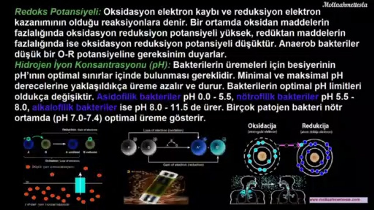 Mikrobiyoloji ve İmmunoloji 1. Ünite (Sesli kitap)| Microbiology and Immunology 1st Unit (Audio book subtitle  English)