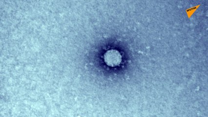 İşte Koronavirüs'ün ilk mikroskop görüntüleri