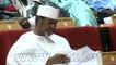 Buhari needs to address Nigerians - Rochas Okorocha