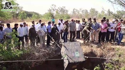 Indian forest officials rescue leopard trapped in 30-foot-deep well