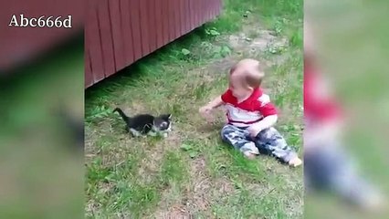 القطط vs الاطفال مضحك جدآ 2020(360P)
