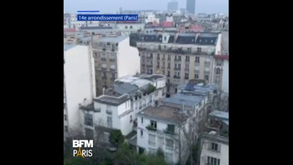 On peut de nouveau entendre les oiseaux à Paris