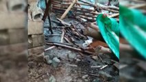 Bingöl'de 2 ahır çöktü, 40 küçükbaş hayvan telef oldu
