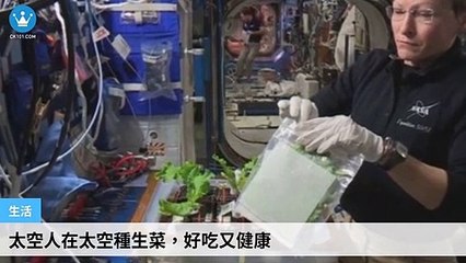 ck101.com.daily-copy3-20200320-23:55