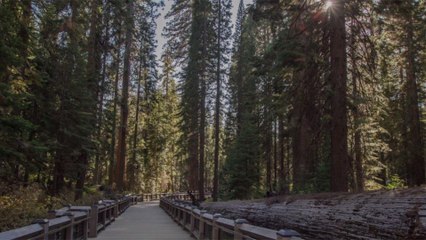 Some National Parks Are Still Open — What to Know Before Heading Out