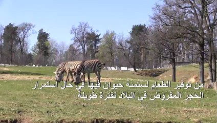حديقة حيوانات في إيطاليا توجه نداء استغاثة