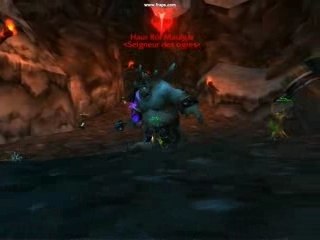 Raid Gruul