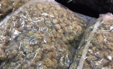 Caserta - 23 chili di droga sequestrati in impianto di stoccaggio merci (20.03.20)