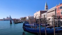 Coronavírus deixa canais de Veneza mais limpos