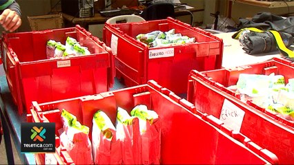 tn7-fanal-alcohol-200320