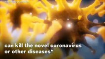 Fact-Checking Coronavirus Misinformation: 8 Myths Debunked About The Covid-19 Virus