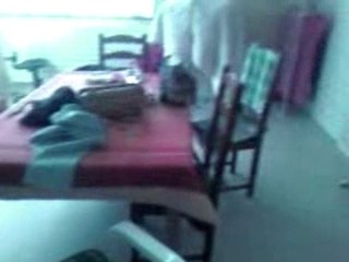 shadow et sassy encore