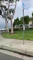 2km de file d'attente au supermarché dans le Michigan aux Etats-Unis