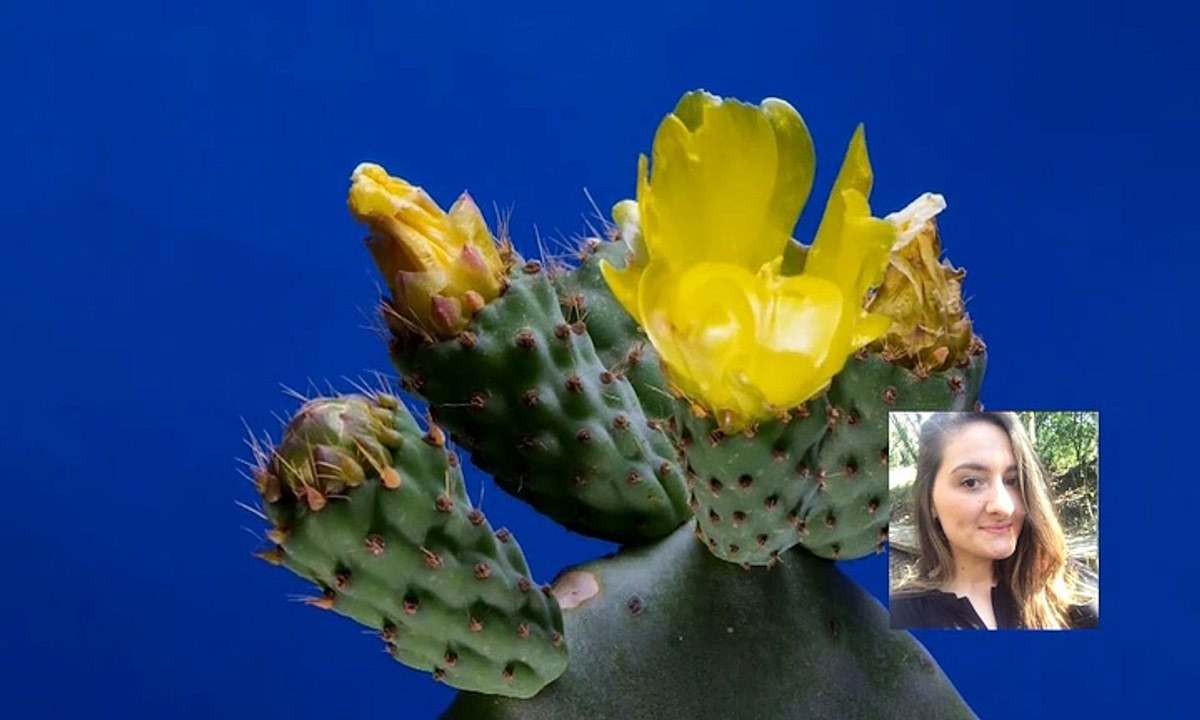 Podcast. Covid19 : l'interview d'une coach en développement personnel