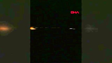 Dalaman'da sazlık alanda yangın 1