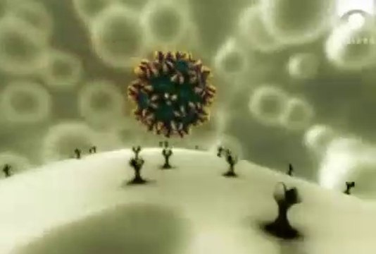 VIRUS ``EL ORIGEN´´ CORONAVIRUS - COVID-19 - VIRUS - PANDEMIAS - DOCUMENTALES INTERESANTES ,documental, documental historia,documentales,documentales en español, documentales gratis,DOCUMENTALES HD,DOCUMENTALES ONLINE,GRANDES DOCUMENTALES