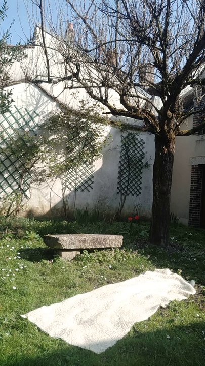 flexions rotations equilibres