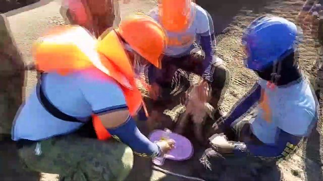 Trapped Dog Saved by Workers