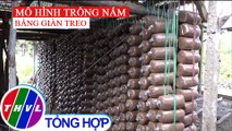 Hiệu quả từ mô hình trồng nấm linh chi và bào ngư bằng giàn treo tại Đồng Tháp