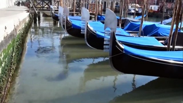 coronavirus lockdown: Venice waters running clear due to lack of tourists