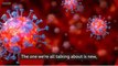 Coronavirus explained in 60 seconds:-#1 minute coronavirus